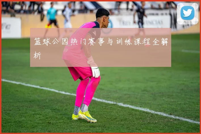 篮球公园热门赛事与训练课程全解析