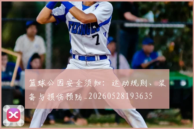 篮球公园安全须知:运动规则、装备与损伤预防_20260528193635